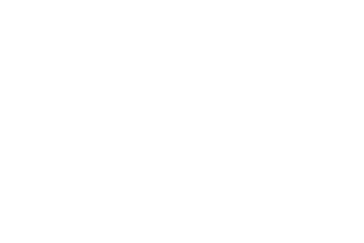 SAE Institute